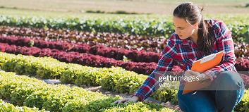 Agroalimentación